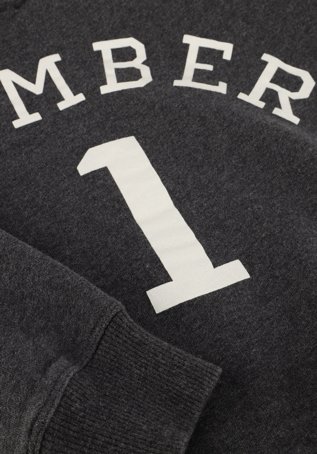 Dunkelgrau JENEST Pullover BIRD N1 SWEATER - large