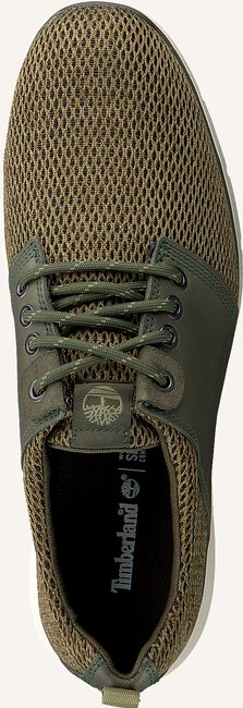 Grüne TIMBERLAND Sneaker Low KILLINGTON L/F OXFORD Grüne TIMBERLAND Sneaker Low KILLINGTON L/F OXFORD - large