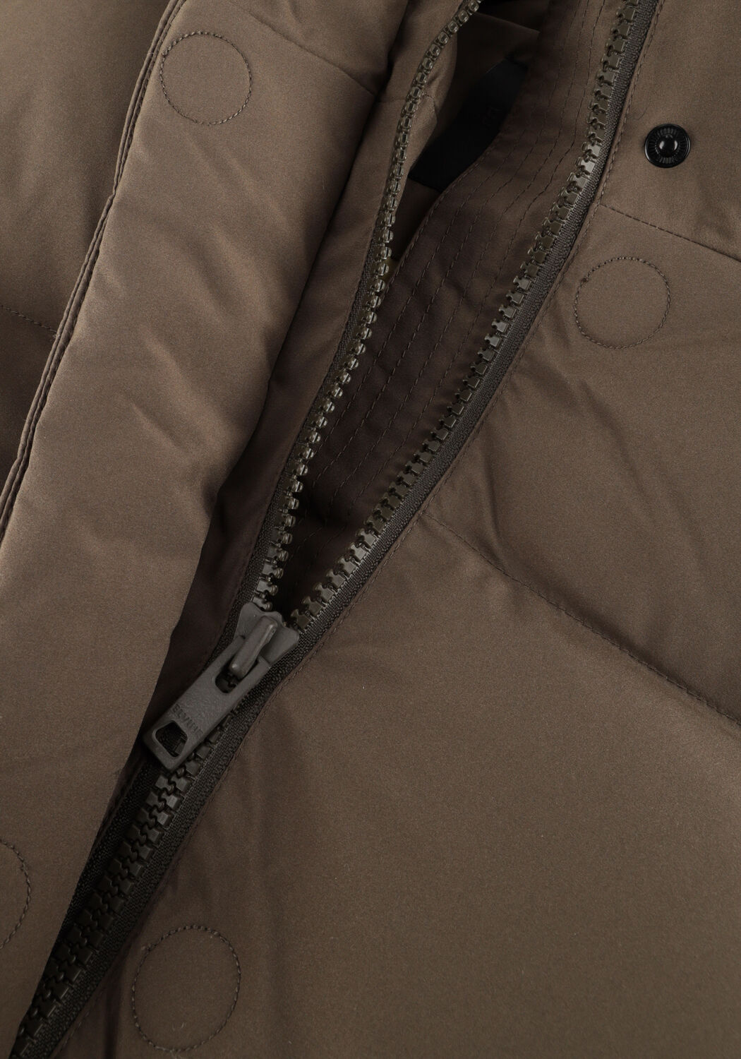 Gr&uuml;ne ELVINE Wattierte Jack VESPER - large