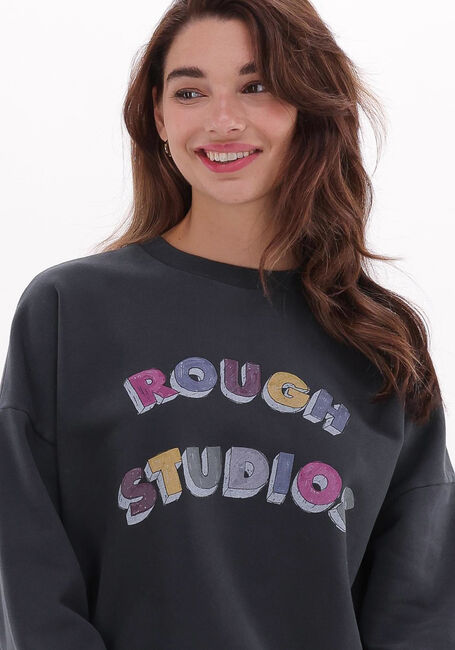 Graue ROUGH STUDIOS Pullover 7220100432072 - large