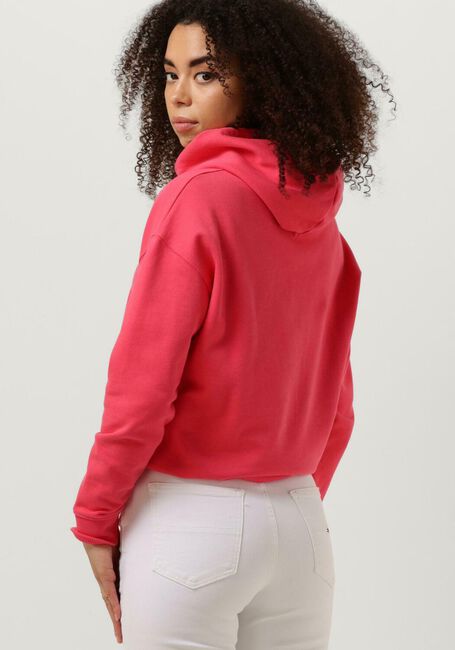 Rosane TOMMY JEANS Pullover TJW XS BADGE HOODIE - large