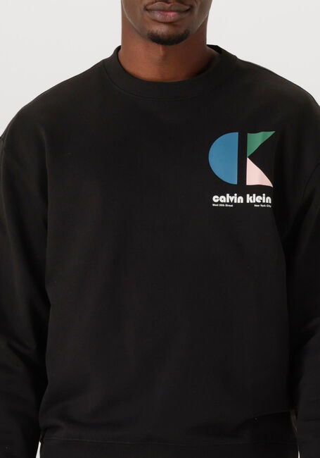 Schwarze CALVIN KLEIN Sweatshirt LS E 350TRRY CK BHS - large