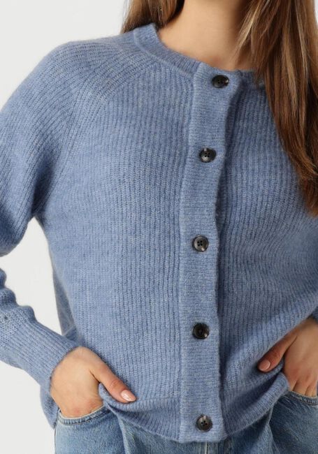 Blaue SELECTED WOMEN Strickjacke SLFLULU LS KNIT SHORT CARDIGAN - large