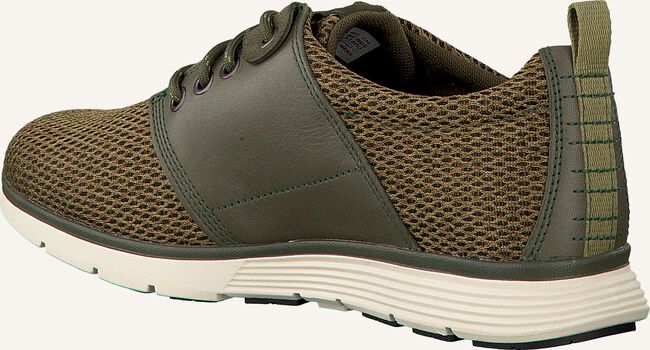 Grüne TIMBERLAND Sneaker Low KILLINGTON L/F OXFORD Grüne TIMBERLAND Sneaker Low KILLINGTON L/F OXFORD - large