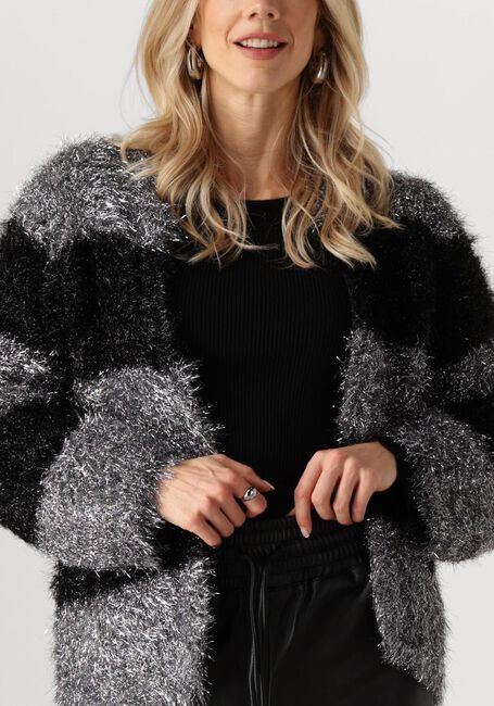 Silberne NUKUS Strickjacke HAILY CARDIGAN LUREX - large