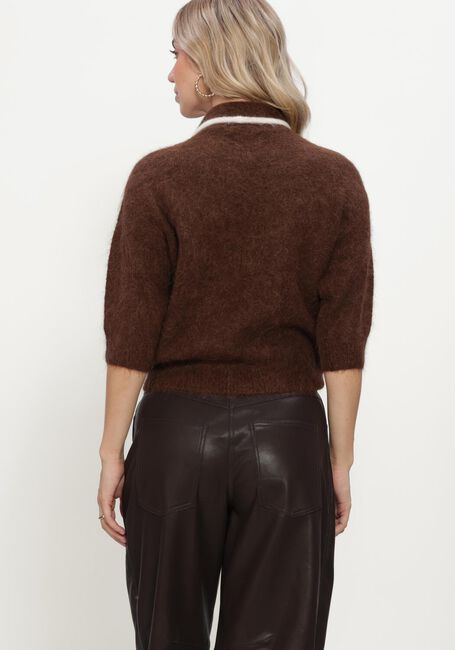 Braune BEAUMONT Pullover BARB PULLOVER - large