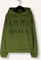 Grüne AMMEHOELA Pullover ERNEST Grüne AMMEHOELA Pullover ERNEST - medium