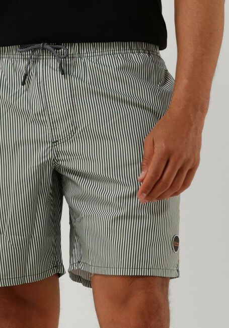 Grüne SHIWI Badehosen MEN SWIMSHORT SKINNY STRIPE - large