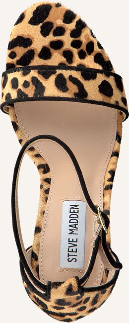 Camelfarbene STEVE MADDEN Flache Sandalen CARRSON Camelfarbene STEVE MADDEN Flache Sandalen CARRSON - large