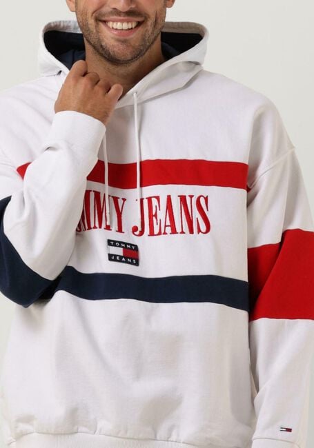 Mehrfarbige/Bunte TOMMY JEANS Sweatshirt TJM SKATER ARCHIVE BLOCK HOODIE - large