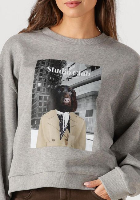 Graue STUDIO ANNELOES Sweatshirt CHARLIE SWEATER - large