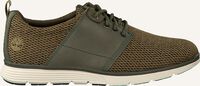 Grüne TIMBERLAND Sneaker Low KILLINGTON L/F OXFORD - medium