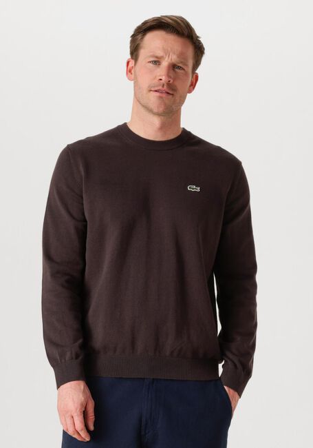Braune LACOSTE Pullover REGULAR FIT CREW NECK SWEATER - large