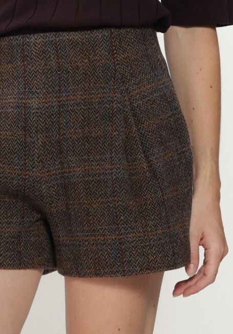 Braune BRUUNS BAZAAR Kurze Hose ARONIABBNADINO SHORTS - large