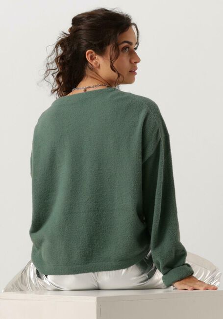 Grüne CATWALK JUNKIE Pullover KN SOFT - large