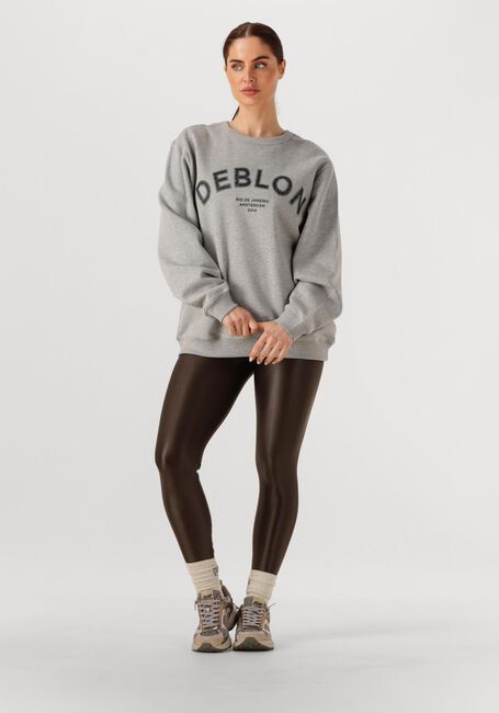 Graue DEBLON SPORTS Pullover CATHY SWEATER - large