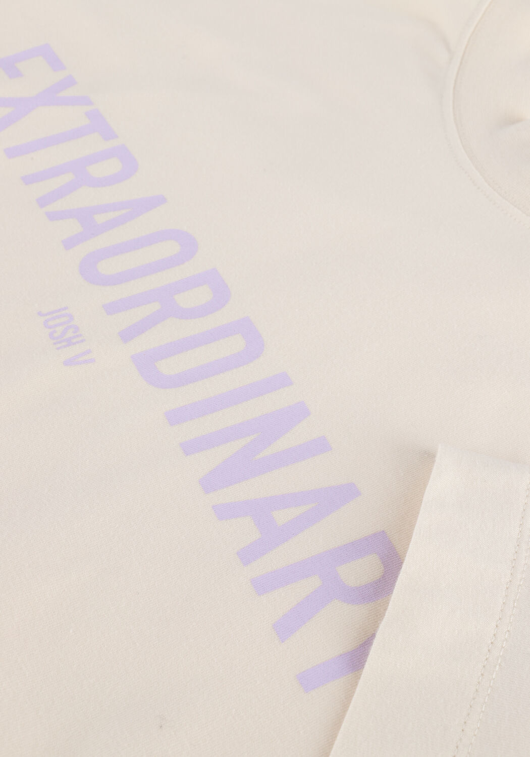 Graue JOSH V T-shirt TEDDY EXTRAORDINARY - large