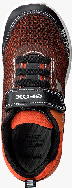 Orangene GEOX Sneaker low J826PB - large