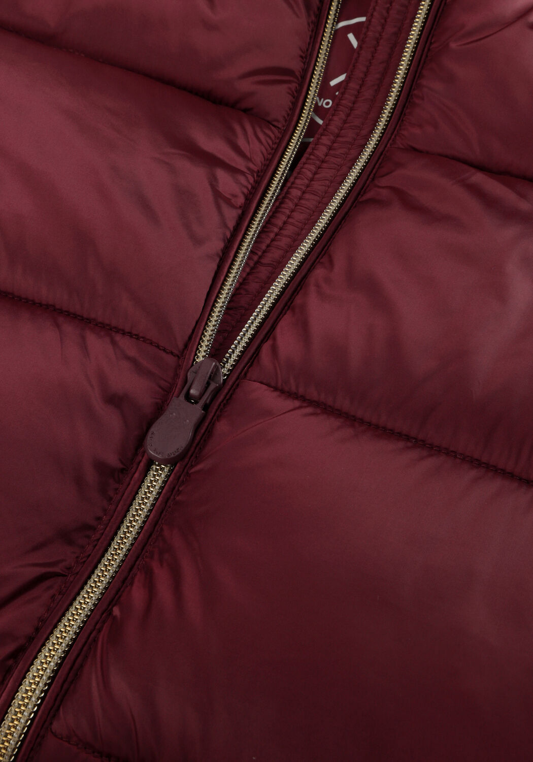 Bordeaux SAVE THE DUCK Wattierte Jack LYSA - large