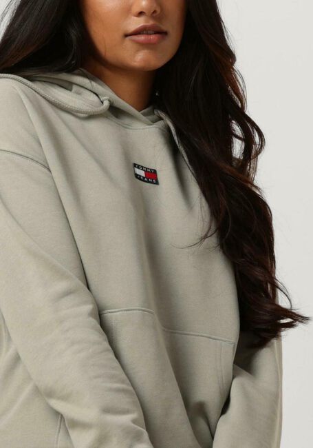 Grüne TOMMY JEANS Sweatshirt TWJ BXY XS BADGE HOODIE - large