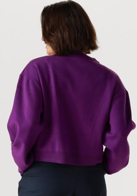 Lilane REFINED DEPARTMENT Sweatshirt TIFFANY - large