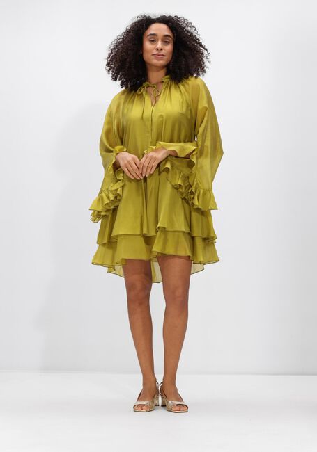 Gr&uuml;ne DEVOTION Kleider SHEEN - large