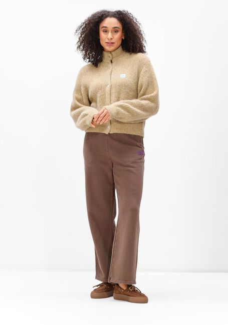 Braune AMERICAN VINTAGE Hosen PLIZZY - large