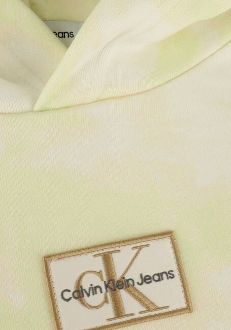 Grüne CALVIN KLEIN Pullover SUN BLEACHED AOP HOODIE - large