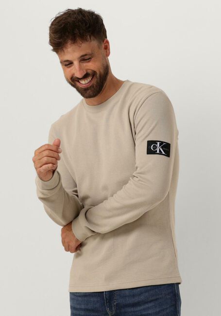 Beige CALVIN KLEIN Pullover WAFFLE LS TEE - large