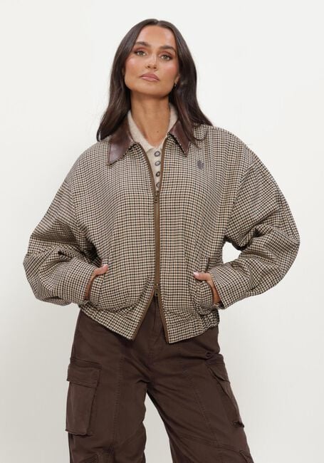 Braune IBANA Jack JUSTA - large