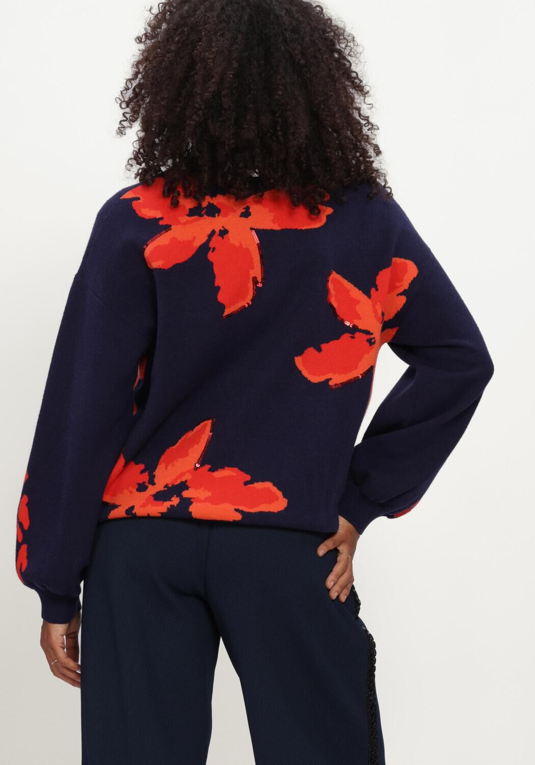 Dunkelblau POM AMSTERDAM Pullover ALICIA BLOOM ROUGE - large