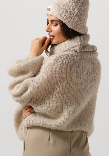 Beige AMERICAN DREAMS Rollkragenpullover PEPPER ROLL NECK CROPPED - large