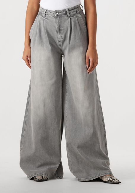 Graue JANICE Wide jeans JEANS WIJDE PIJP STRETCH DOLLAR - large