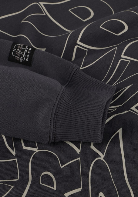 Graue RAIZZED Sweatshirt NOBY - large