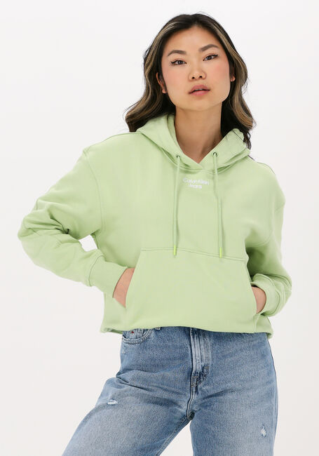 Grüne CALVIN KLEIN Sweatshirt STACKED LOGO HOODIE - large