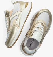 Goldfarbene PINOCCHIO P1447 Sneaker low - medium