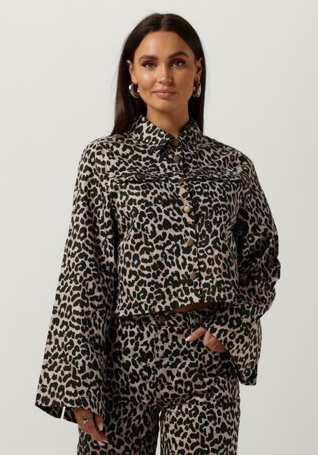 Braune HARPER & YVE Jack LEXIE-JA - large
