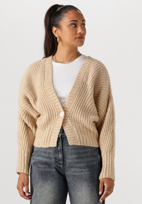Beige NUKUS Pullover JOLIJN CARDIGAN - large
