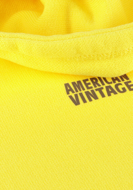Gelbe AMERICAN VINTAGE Pullover & Cardigans IZUBIRD HOODIE - large