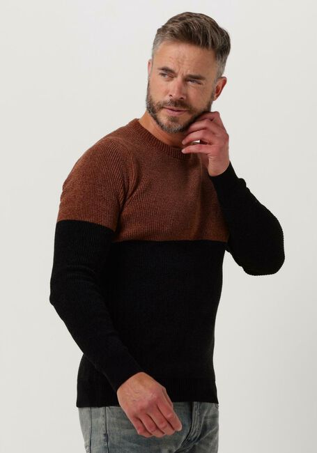 Braune CAST IRON Pullover R-NECK REGULAR FIT CHENILLE COTTON PLATED - large