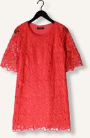 Rote ANA ALCAZAR Midikleid DRESS SLEEVES 041092-3634 Rote ANA ALCAZAR Midikleid DRESS SLEEVES 041092-3634 - medium