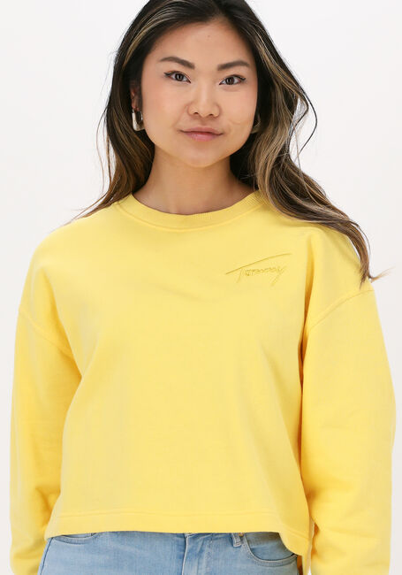 Gelbe TOMMY JEANS Sweatshirt TJW CROP TOMMY SIGNATURE CREW - large