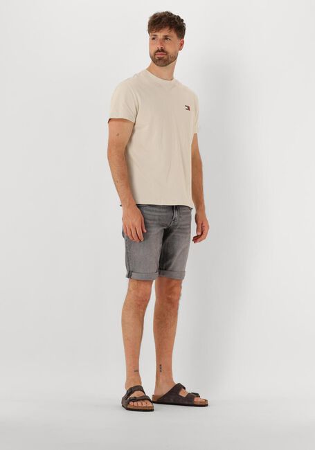 Graue TOMMY JEANS Kurze Hosen RONNIE SHORT BI0177 - large