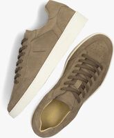 Braune GOOSECRAFT Sneaker low NOPTERA - medium