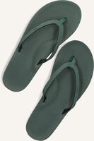 Grüne INDOSOLE Zehentrenner ESSENTIAL FLIP FLOP Grüne INDOSOLE Zehentrenner ESSENTIAL FLIP FLOP - medium
