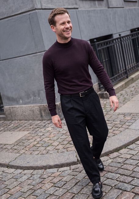Bordeaux STEFANO LAURAN Pullover TURTLE NECK MERINO - large