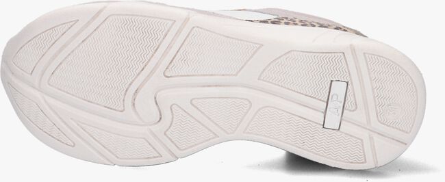 Weiße APPLES & PEARS Sneaker low B0010045 - large