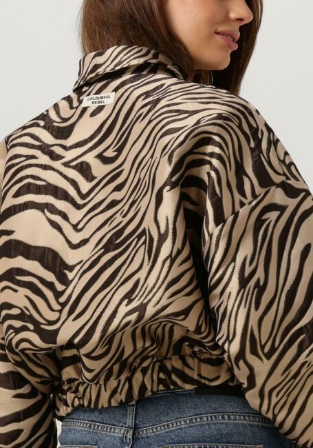 Nicht-gerade weiss COLOURFUL REBEL Jack BENTE ZEBRA JACQUARD BOMBER JACKET - large