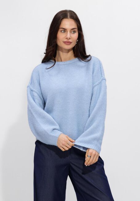 Blaue ANOTHER LABEL Pullover & Cardigans ALLROXANE KNITTED PULL L/S - large