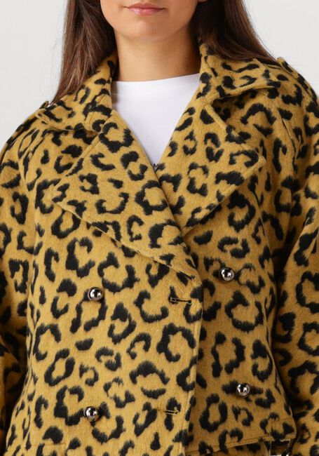Ocker AMAYA AMSTERDAM Jack LOTUS - large